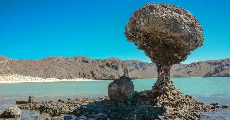 Tour a playa Balandra desde Los Cabos