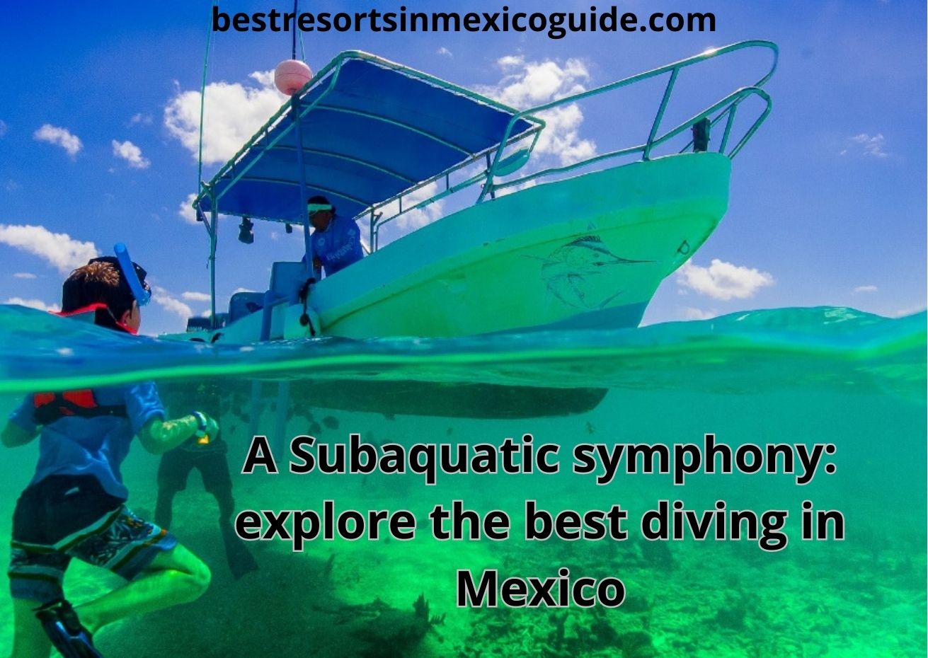 Best diving in Mexico: most gorgeous places to visit (20+)
