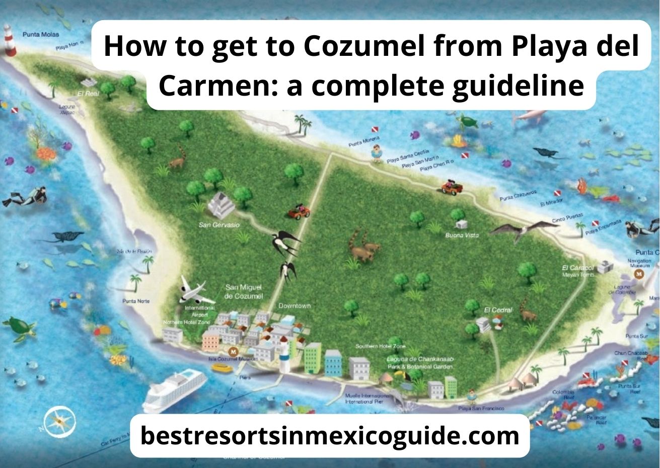 How to get to Cozumel from Playa del Carmen? The best guide (15+ tips)